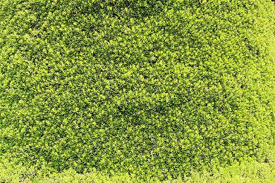 暴雪招聘广告显示其在开发一款FPS元素RPG新作