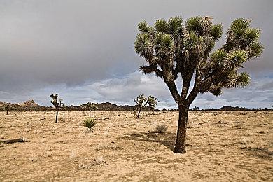 狂乱都市动作游戏“TRIBE NINE：战极死游”今日实装 Ver1.1.0 版本！ 